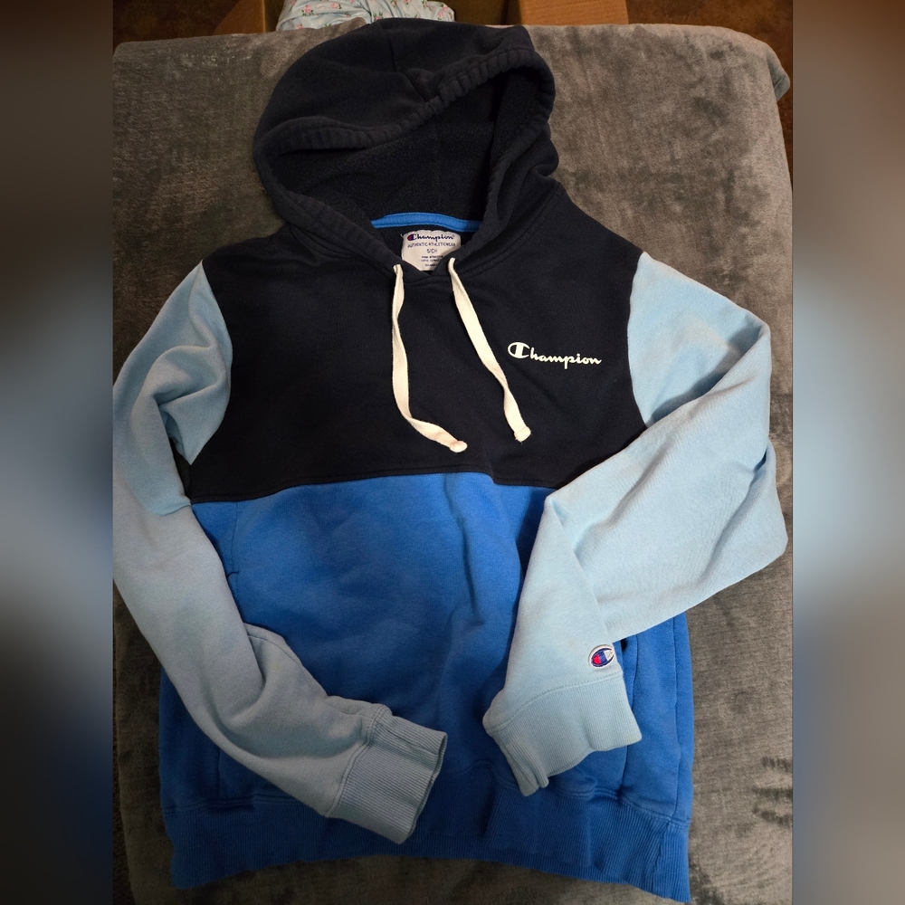 Champion Men's Hoodie